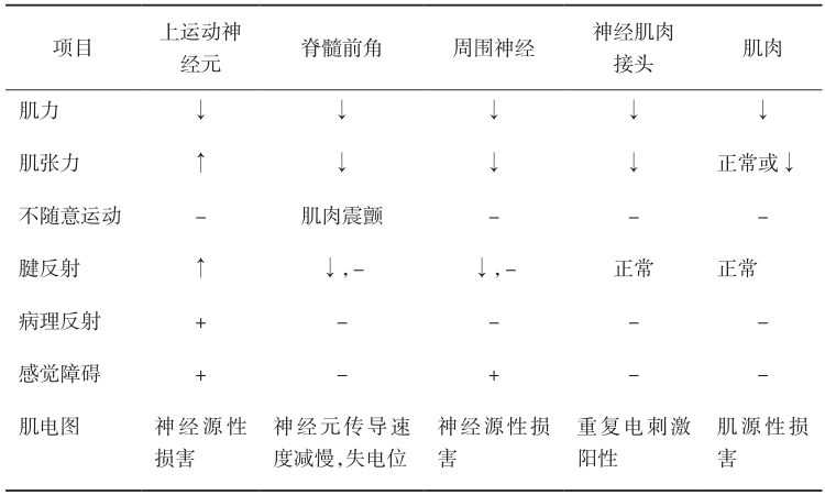 表1 神经系统定位分析特点